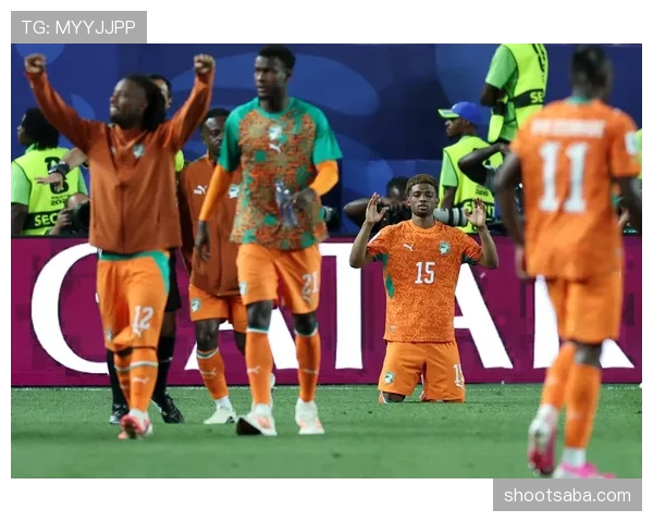 科特迪瓦1-0厄瓜多尔:世界杯小组赛战报整理 科特迪瓦1-0厄瓜多尔:世界杯小组赛战报整理